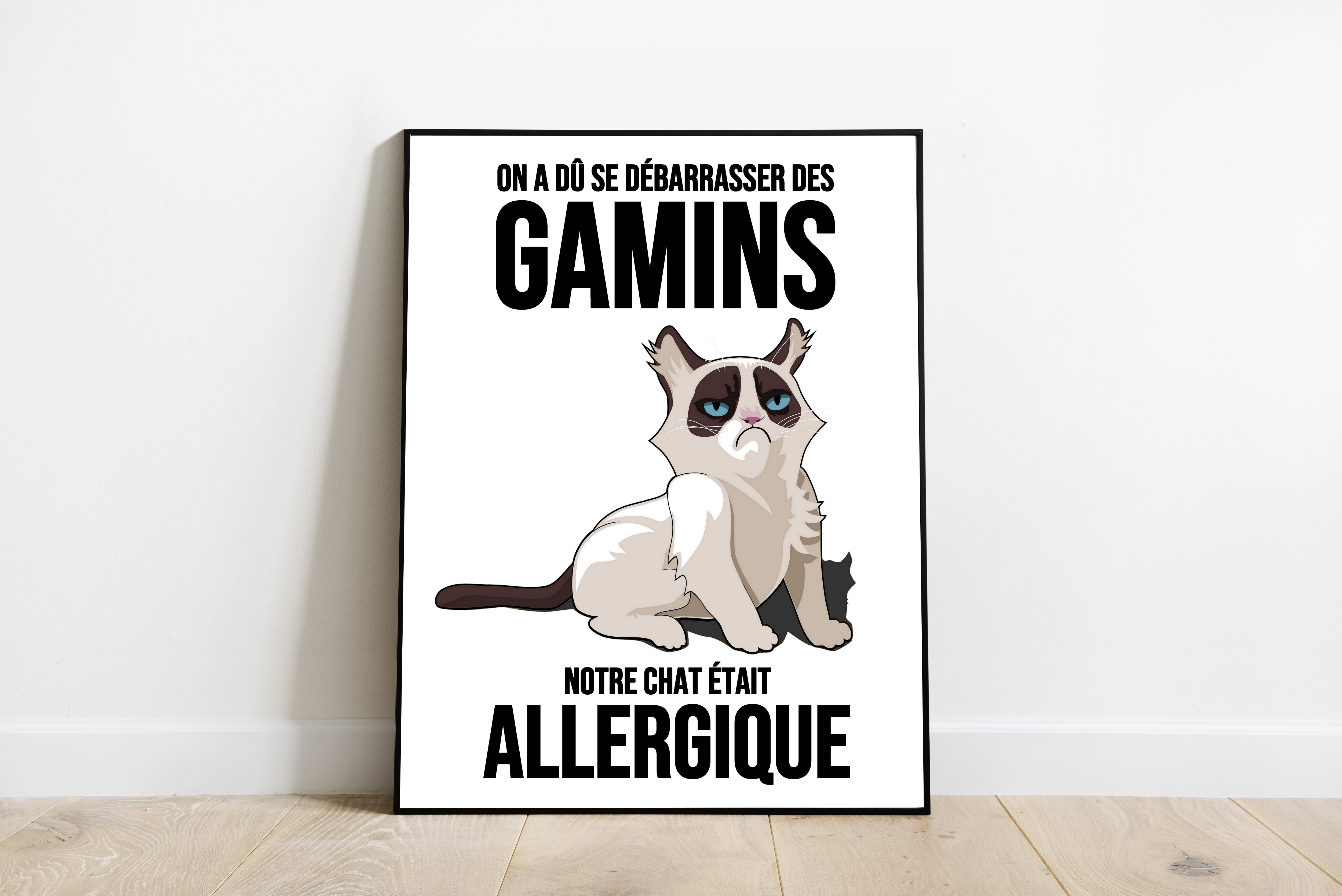 chat allergique